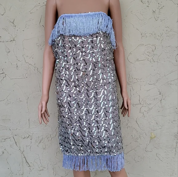 American Vintage | Dresses | Vintage Silver Sequin And Fringe Tube Dress |  Poshmark
